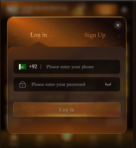 33RS Login Page