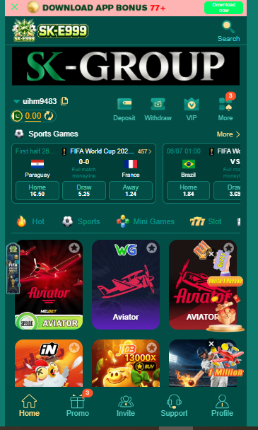 What is SK-E999 Game